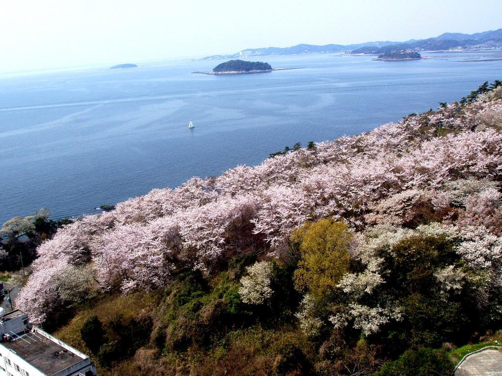 姫宿 花かざし （女性専用） 蒲郡市 エクステリア 写真