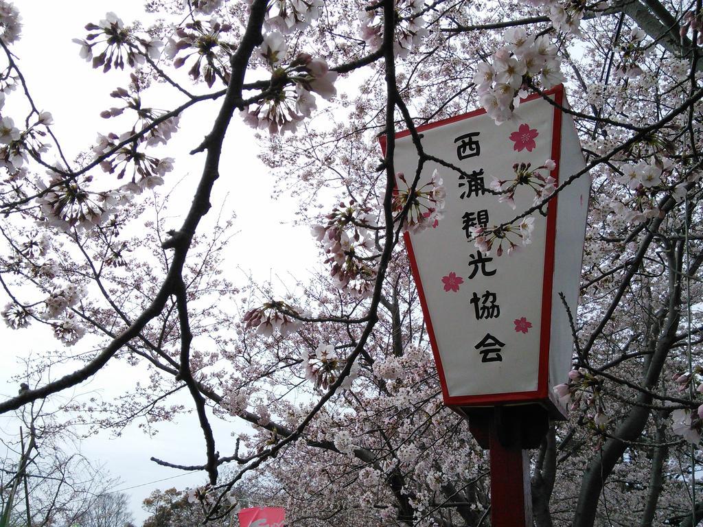 姫宿 花かざし （女性専用） 蒲郡市 エクステリア 写真